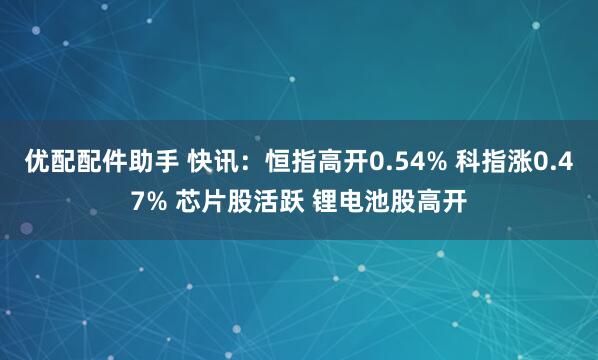 优配配件助手 快讯：恒指高开0.54% 科指涨0.47% 芯片股活跃 锂电池股高开