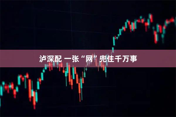 泸深配 一张“网”兜住千万事